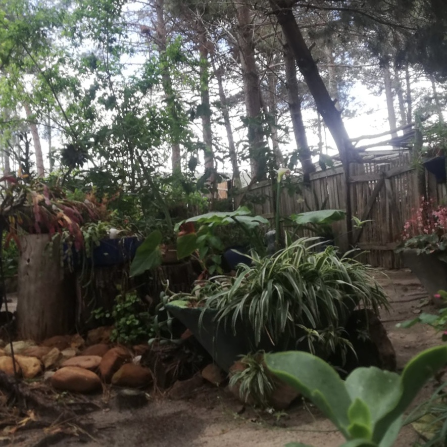 Commercial Property for Sale in Bot River Western Cape